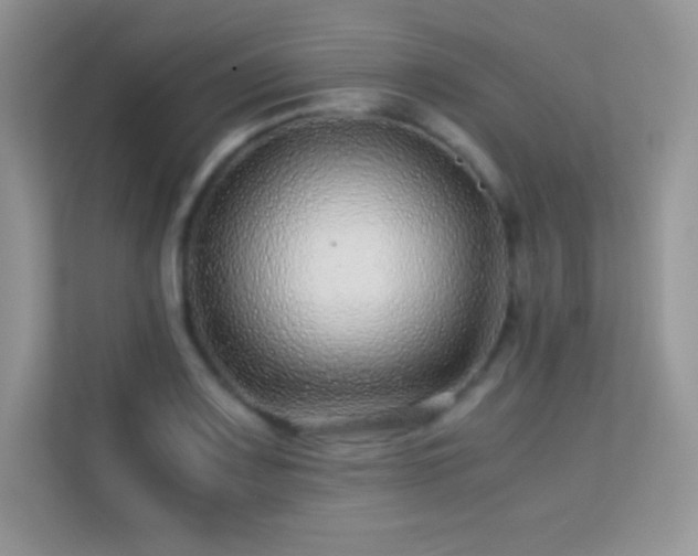X0000113561083200909251053
