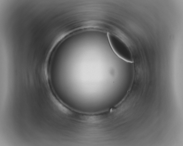 X0000113561084200909251053