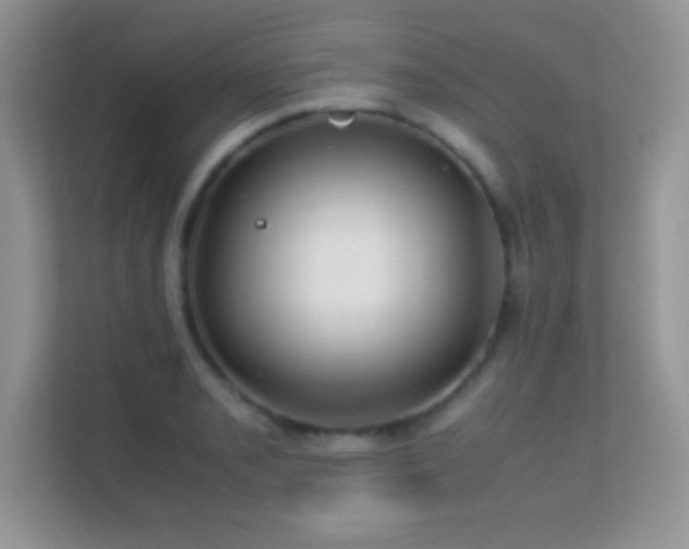 X0000113561085200909251053