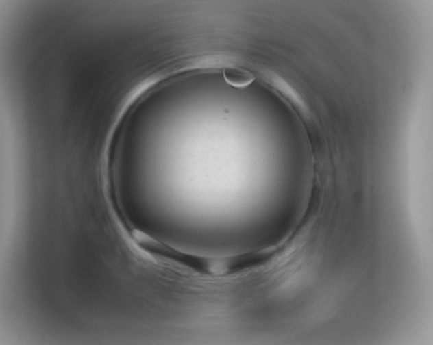 X0000113561087200909251053