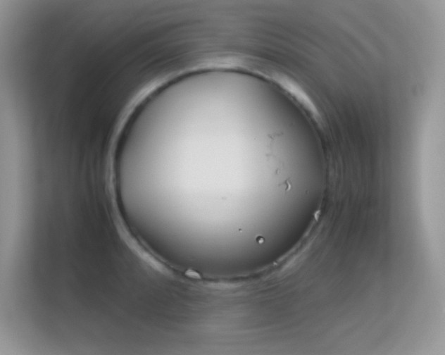 X0000113561088200909251053