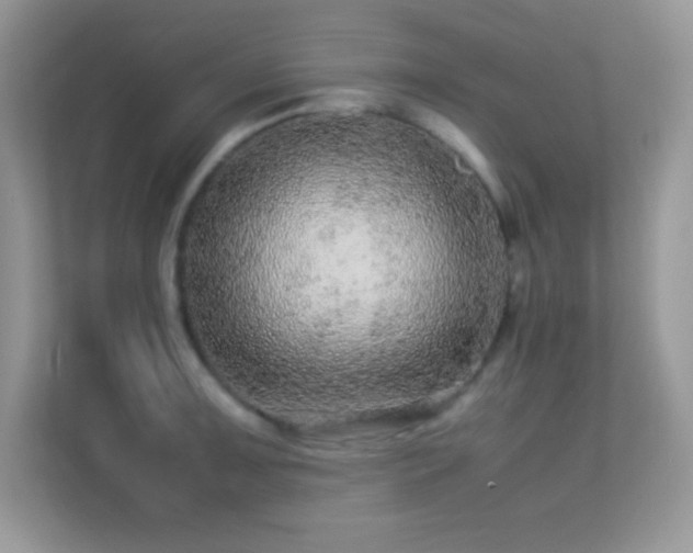 X0000113561091200909251053