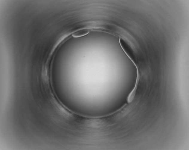X0000113561092200909251053