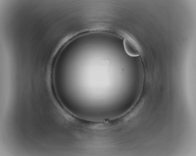X0000113561093200909251053