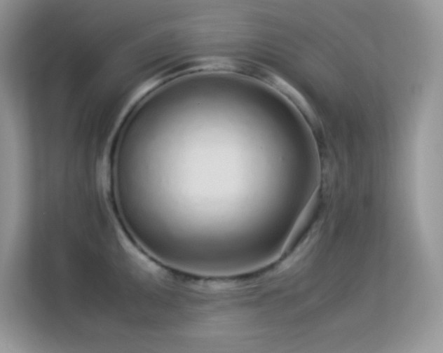 X0000113561095200909251053