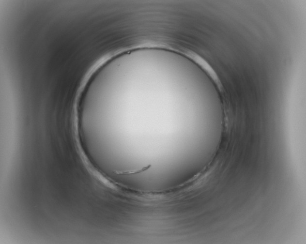 X0000113561096200909251053