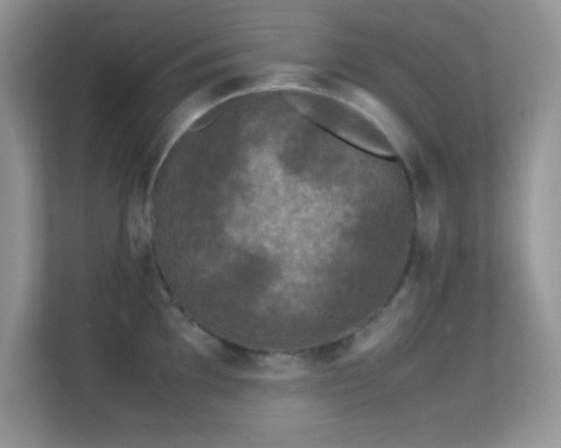 X0000113561097200909251053