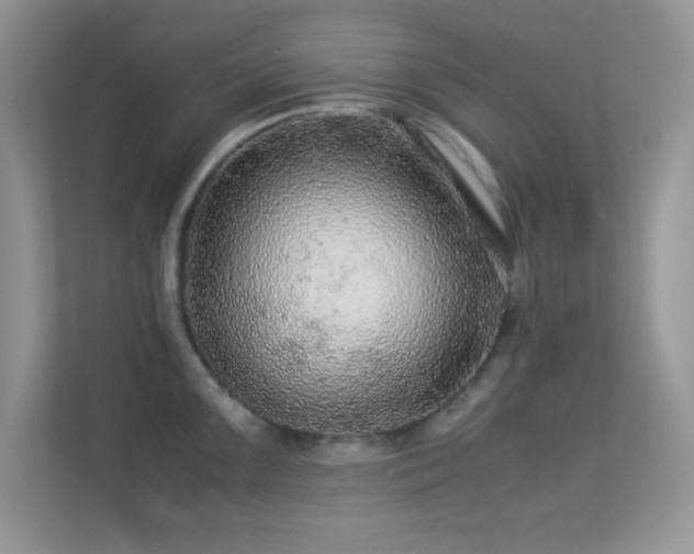 X0000113561099200909251053
