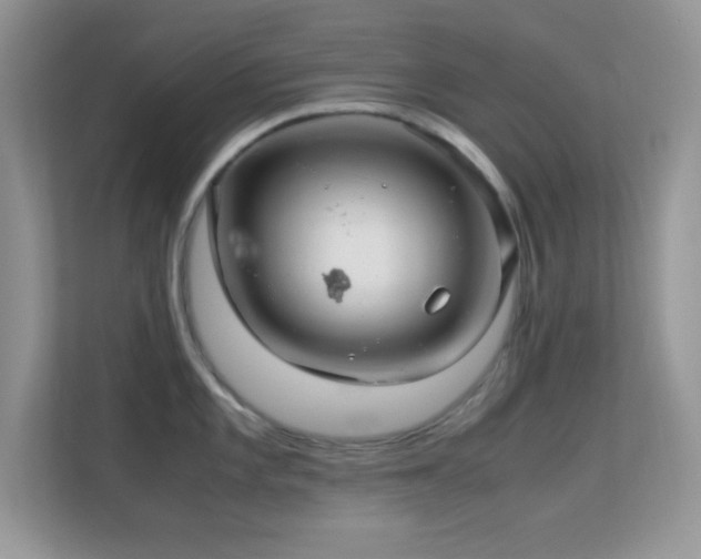 X0000113561101200909251053