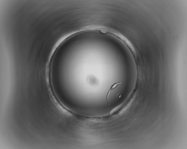 X0000113561102200909251053