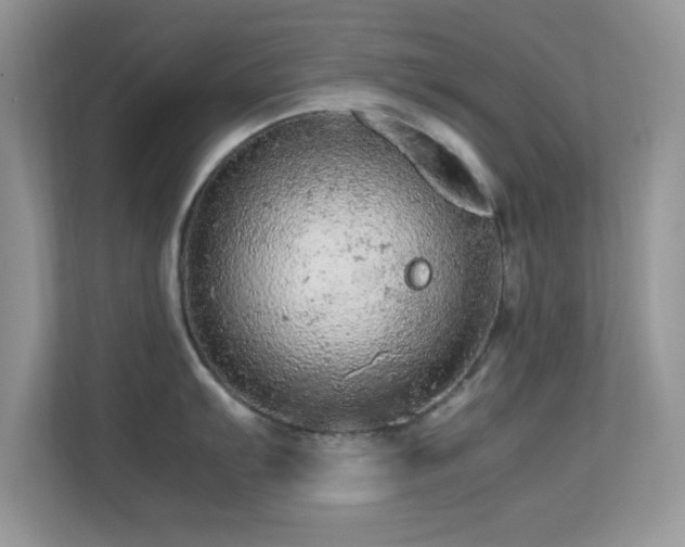X0000113561103200909251053