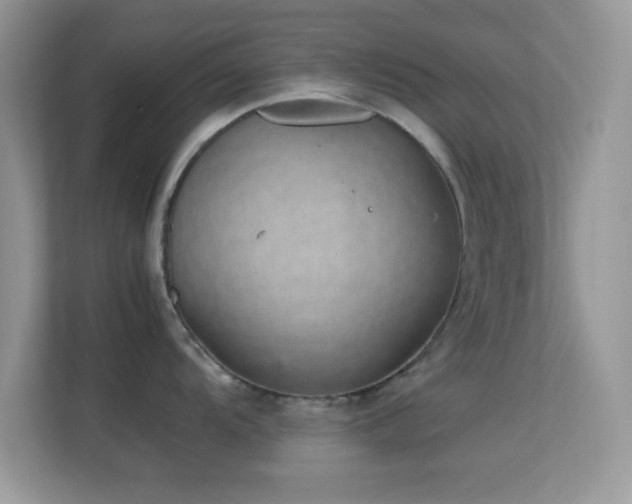X0000113561104200909251053