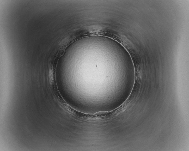 X0000113561106200909251052