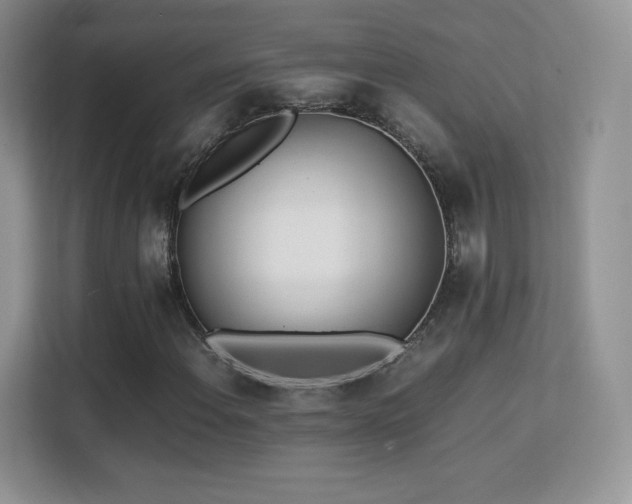 X0000113561108200909251053