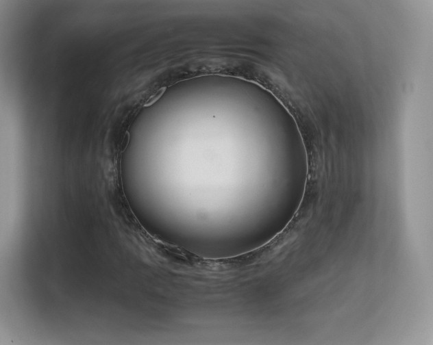 X0000113561109200909251053