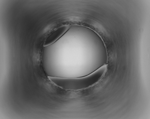 X0000113561110200909251053
