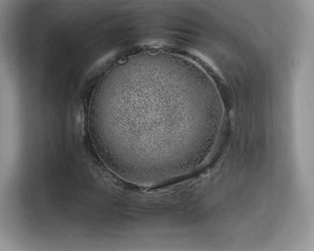 X0000113561111200909251053