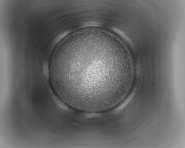 X0000113561113200909251053