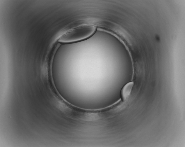 X0000113561114200909251053