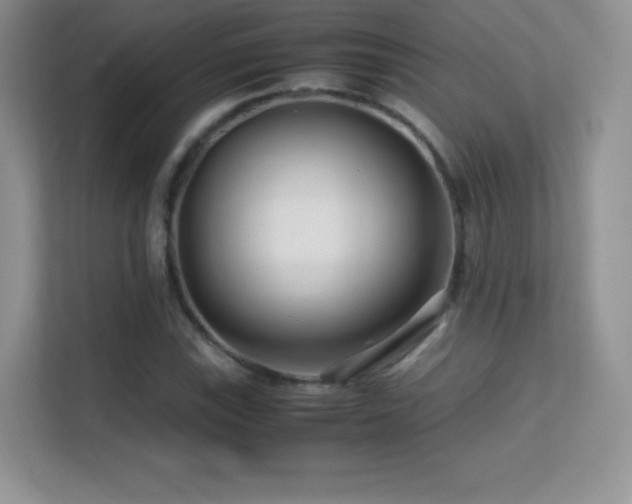 X0000113561115200909251053