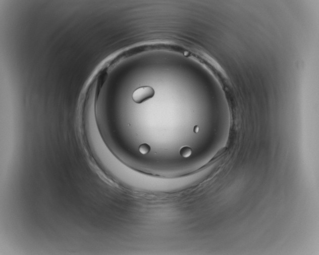 X0000113561116200909251053