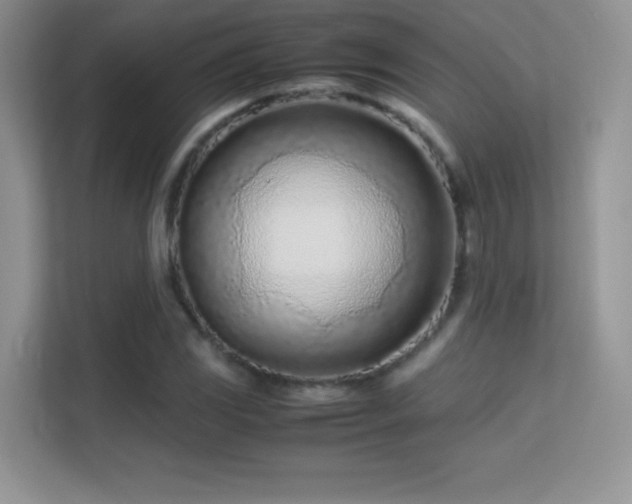 X0000113561117200909251053