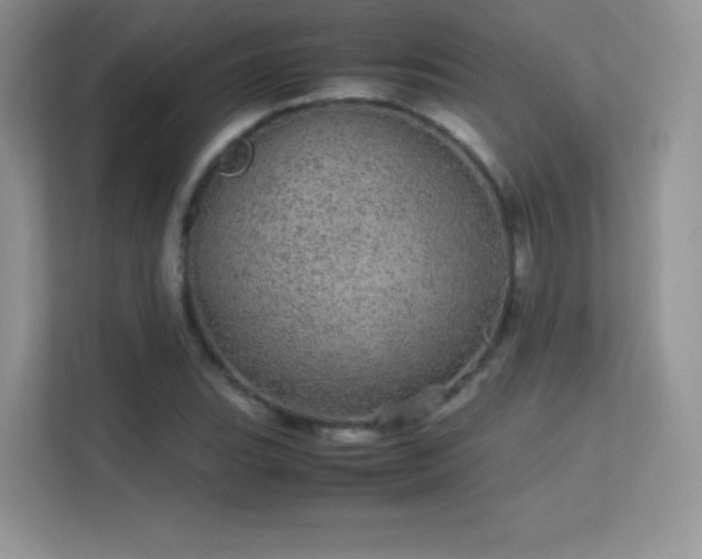 X0000113561119200909251053