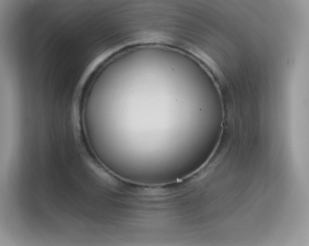 X0000113561120200909251053