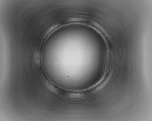 X0000113561121200909251053