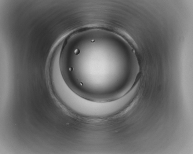 X0000113561122200909251053