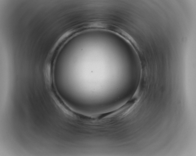 X0000113561123200909251053