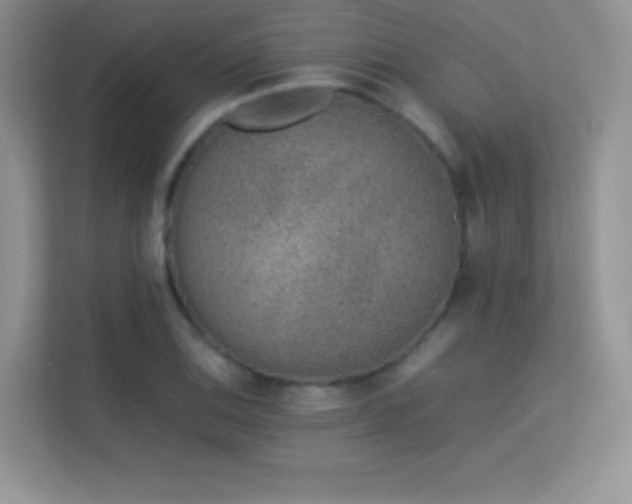 X0000113561124200909251053