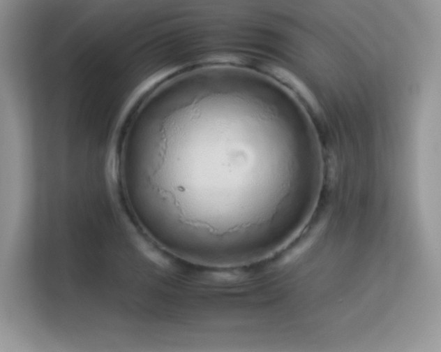 X0000113561125200909251053