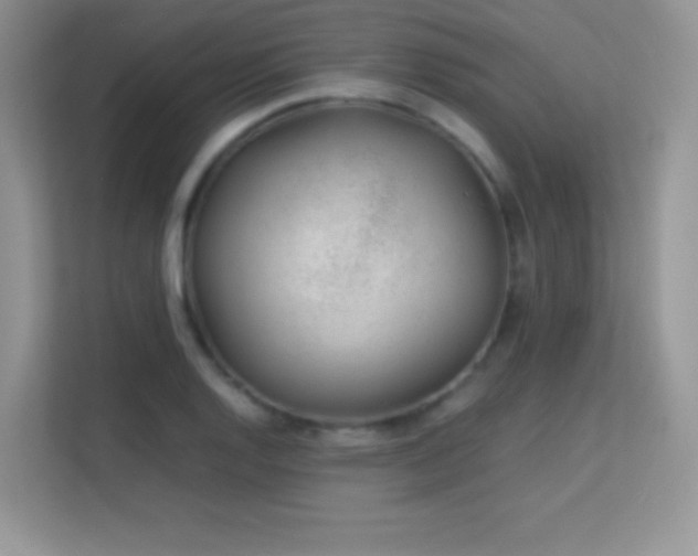 X0000113561128200909251053