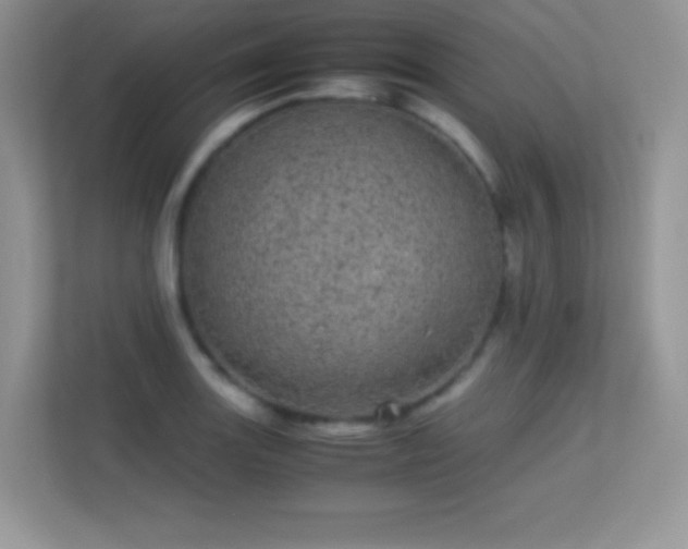 X0000113561131200909251053