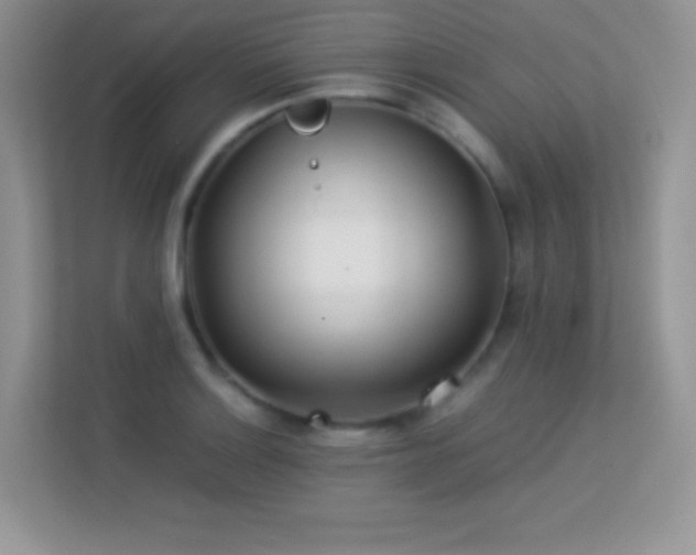 X0000113561132200909251053