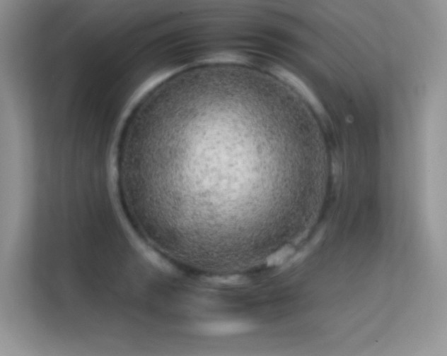 X0000113561133200909251053