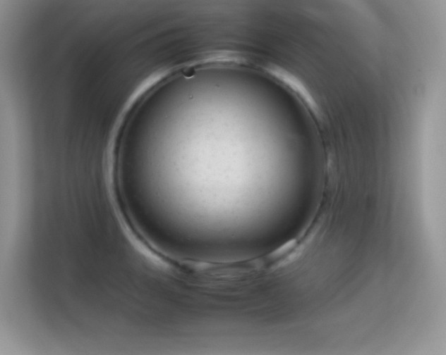 X0000113561135200909251053