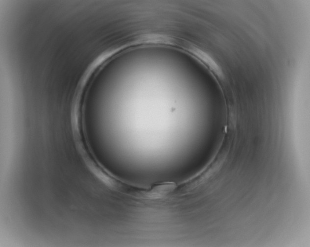 X0000113561136200909251053