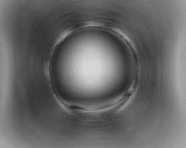 X0000113561137200909251053