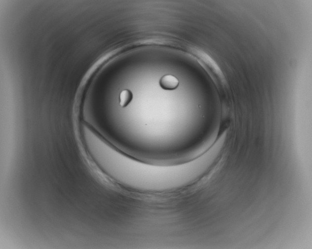 X0000113561138200909251053