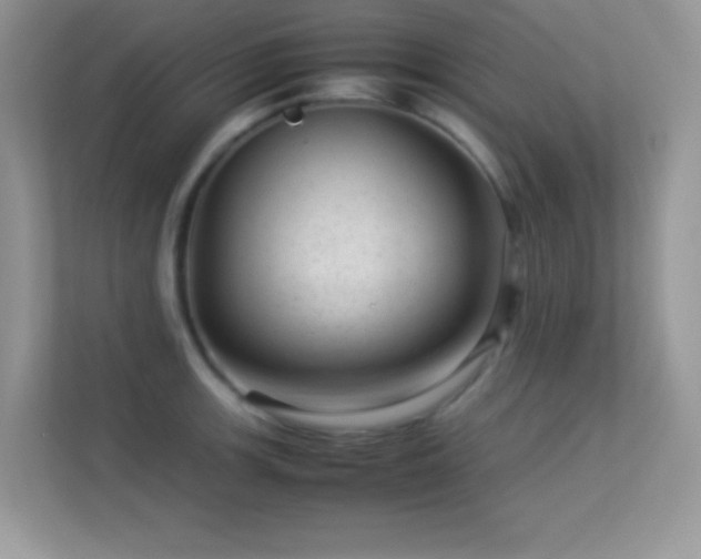 X0000113561139200909251053