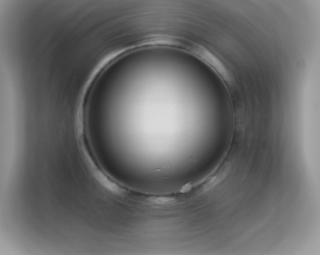 X0000113561140200909251053