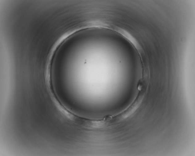 X0000113561144200909251053