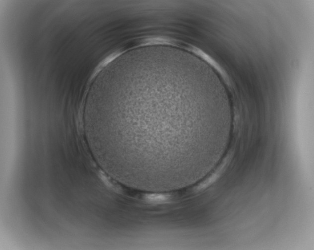 X0000113561145200909251053