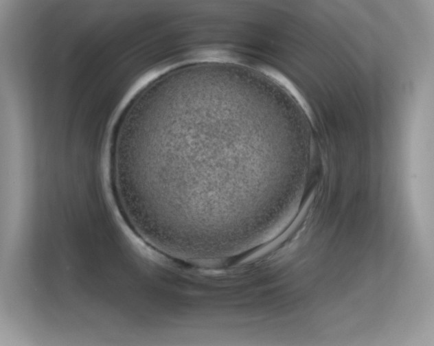X0000113561147200909251053