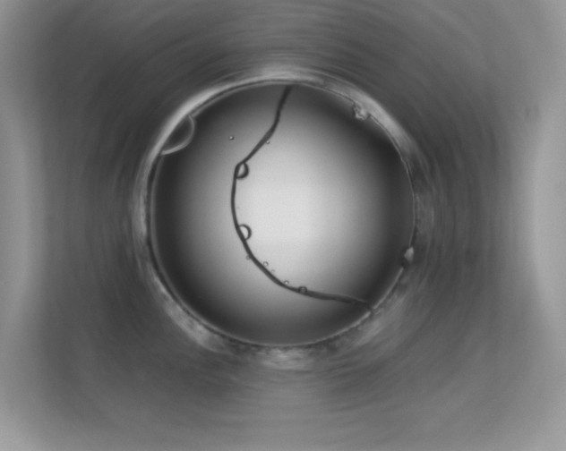 X0000113561148200909251053