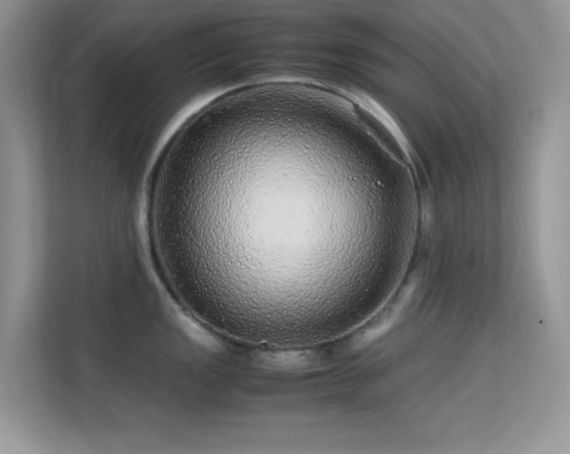 X0000113561149200909251053