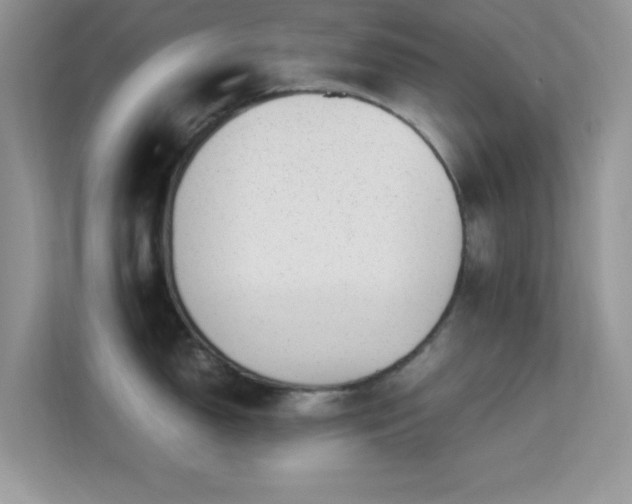 X0000113561150200909251053