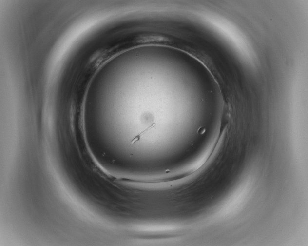 X0000113561151200909251053